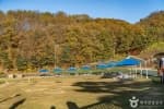 Yangji Pine Pet Park (양지파인펫파크)