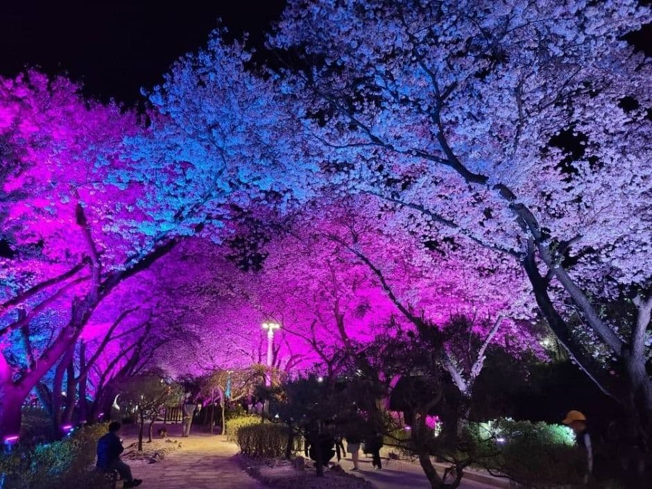 수안보온천제