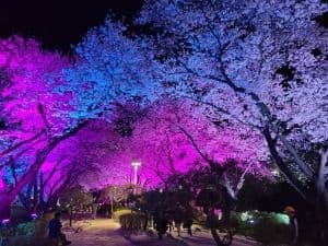 수안보온천제