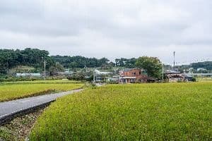 서산 회포마을