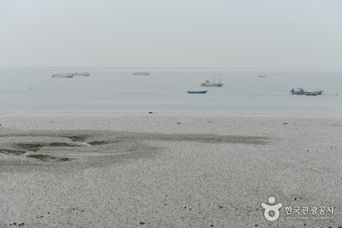 삽교호부터 왜목마을까지, 당진 알짜배기 투어