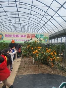 농업회사법인주식회사 월출산꽃따리농장