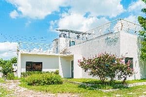 못난이미술관