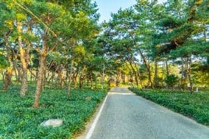 구만마을