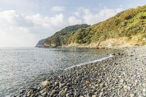 유동해수욕장
