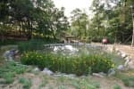 Gwanaksan Ecological Park (관악산 생태공원)