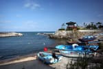 Daege Wonjo Village (Chayu Fishing Village) (대게원조 차유어촌체험마을)