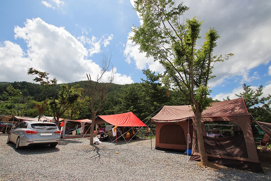 505펜션앤키즈캠핑장