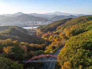 대가야수목원