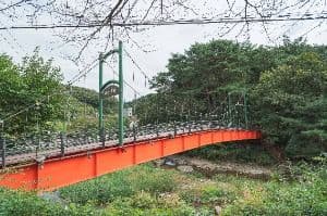 배꼽다리