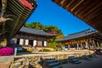 Bongjeongsa Temple [UNESCO World Heritage] (봉정사 [유네스코 세계문화유산])