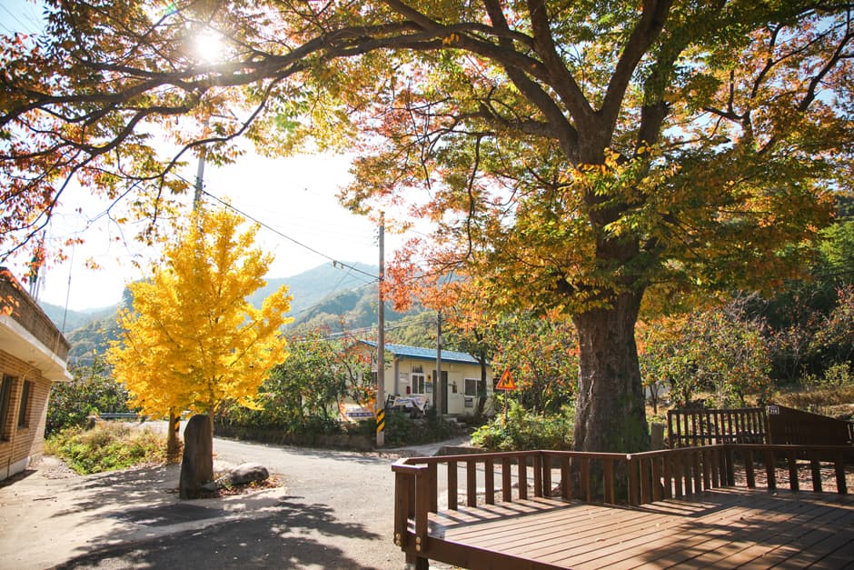[지리산둘레길] 덕산-위태