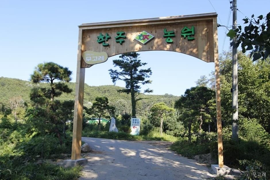 장작구이 무고레