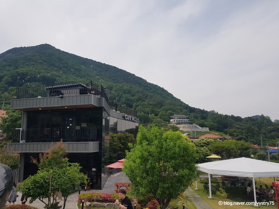 카페 벨리
