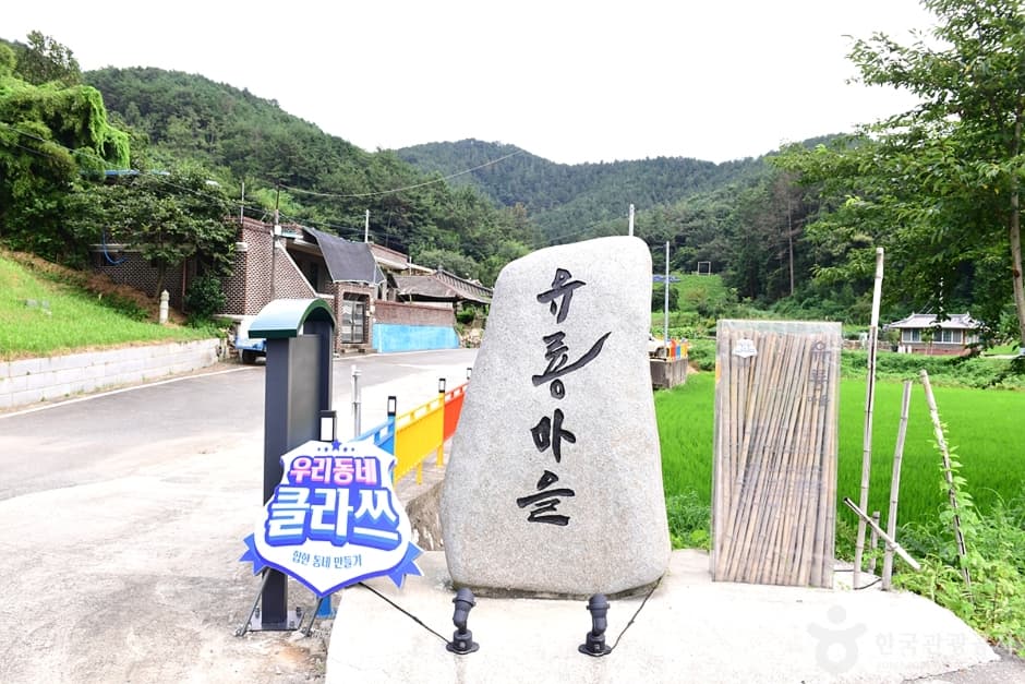 유룡마을