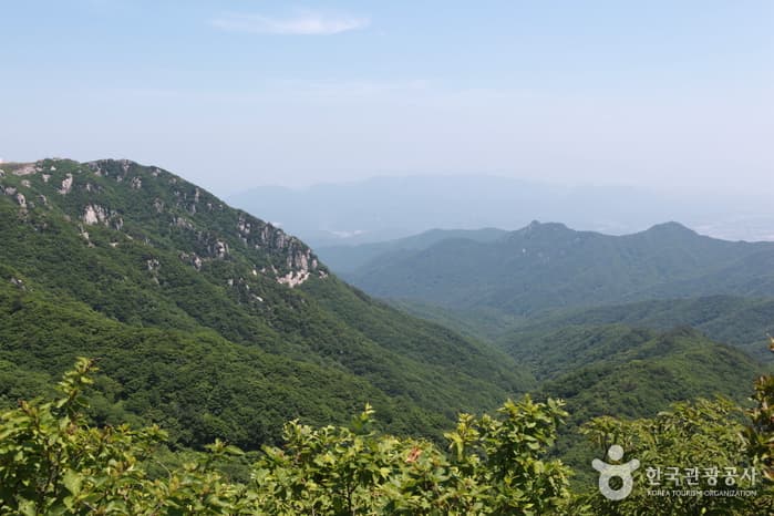 대구의 자연을 품은 팔공산에 오르다.