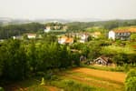 Farm Kamille, Taean (팜카밀레)