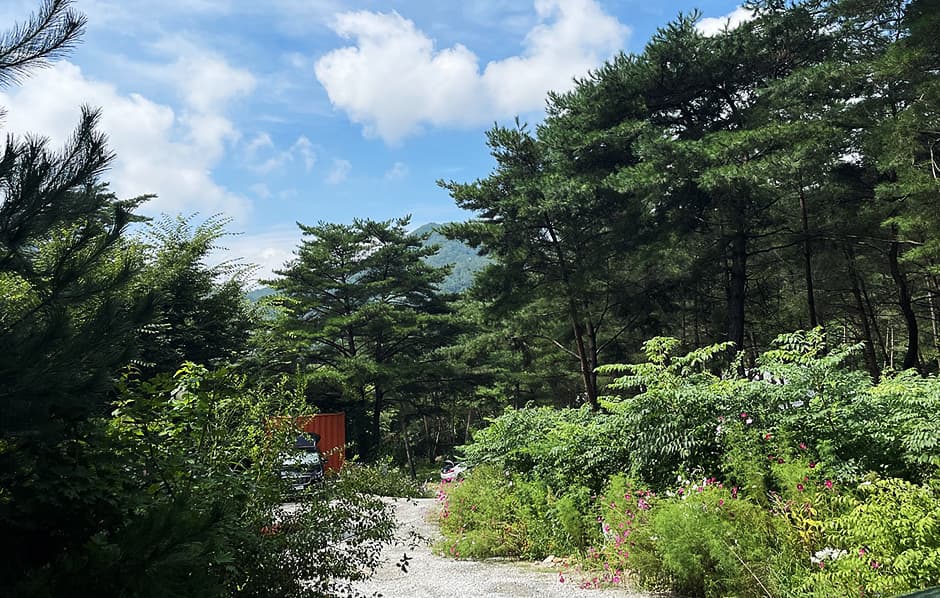 별빛캠핑장