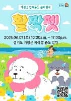 가평군 반려동물 문화행사 활짝펫
