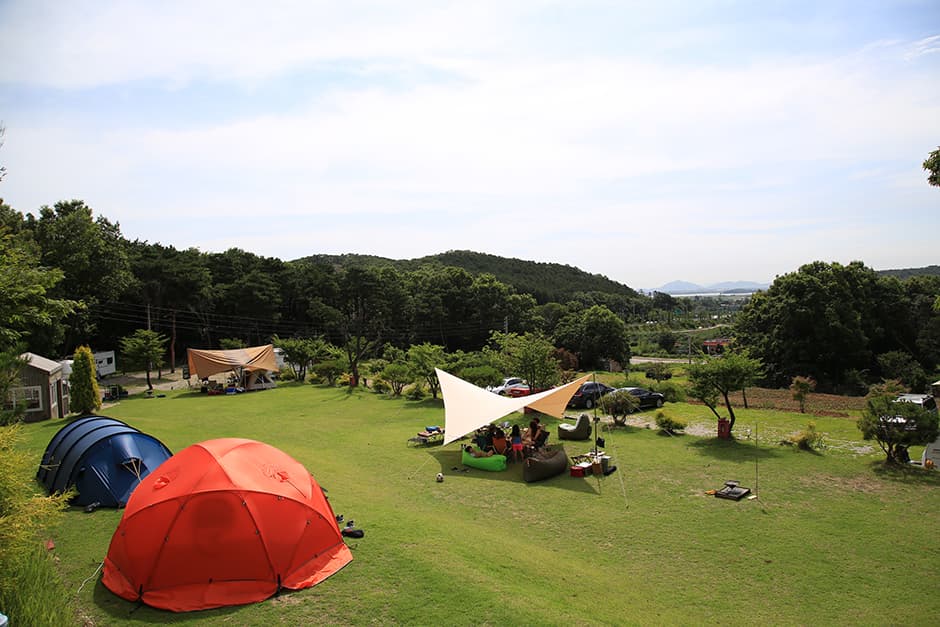 더숲캠핑장
