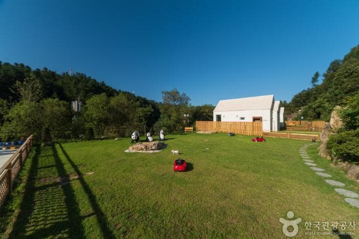 Photo 6