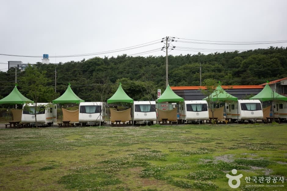 대부도캠핑시티