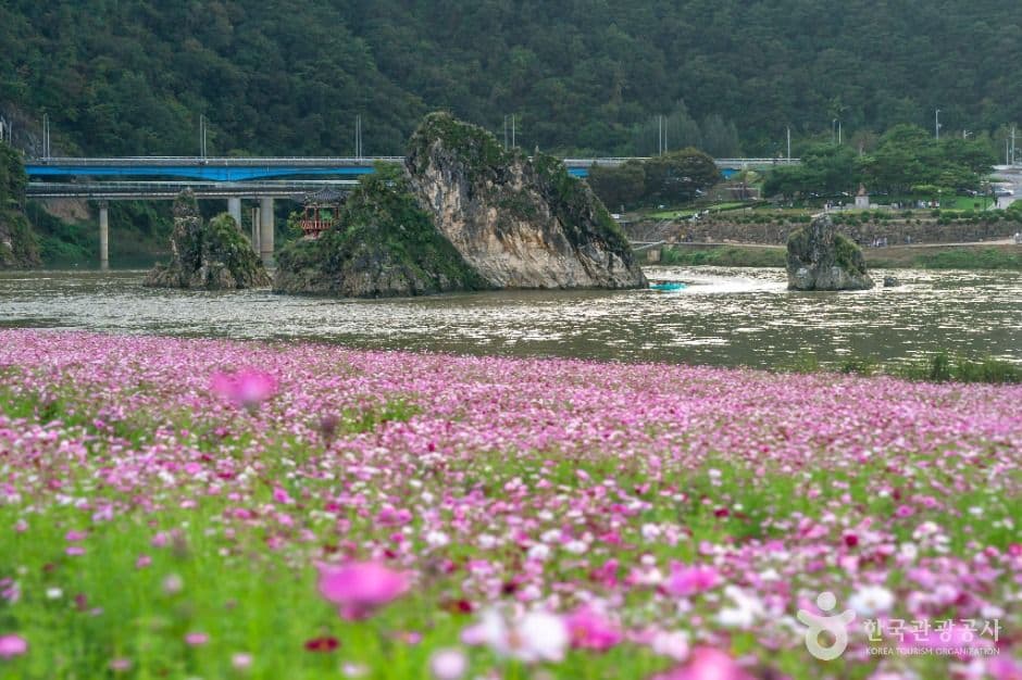 도담정원