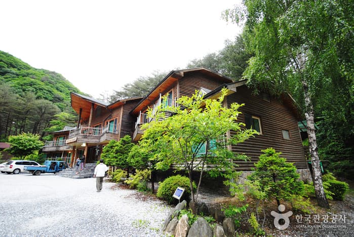 Gariwangsan National Recreational Forest (국립 가리왕산자연휴양림)