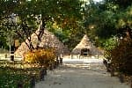Archaeological Site in Amsa-dong, Seoul (서울 암사동 유적)