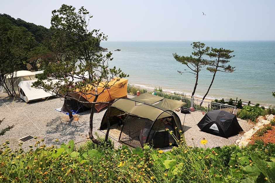 영흥도어울림캠핑장
