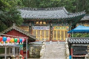 천은정사