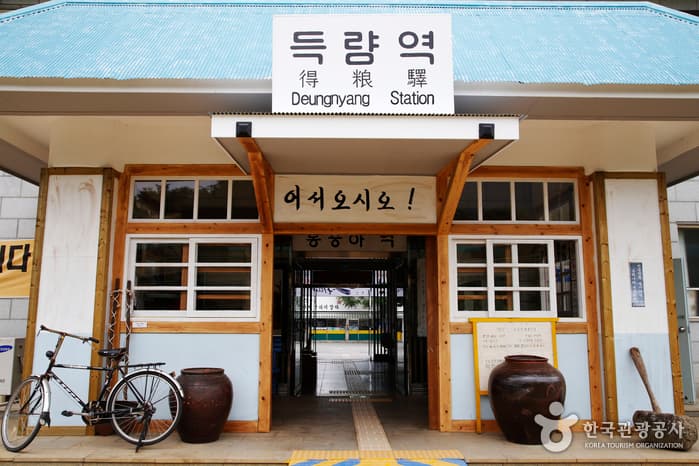 청량한 남도의 숲