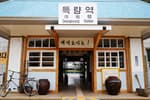 청량한 남도의 숲