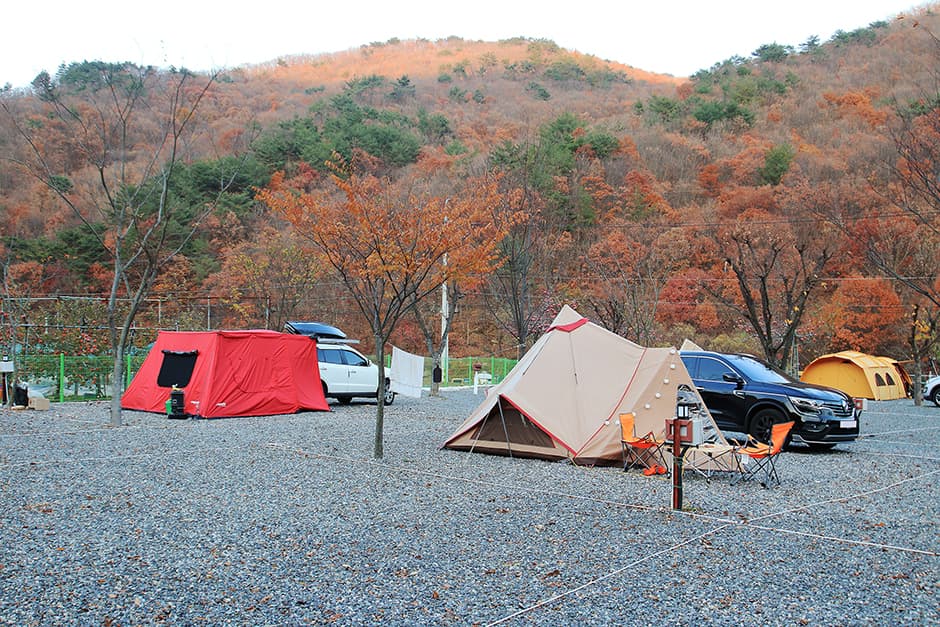 용천토리오토캠핑장