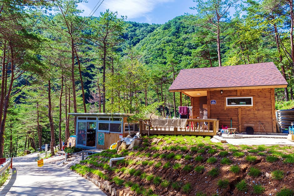 왕피천숲속캠핑장