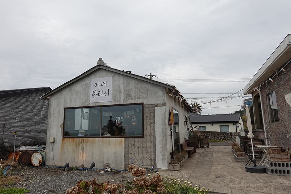 카페한라산