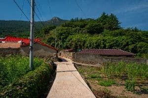 흑산도