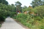 Jucheongang Recreational Forest (주천강자연휴양림)