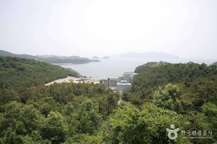 남해바다 바라보며 즐기는 캠핑여행