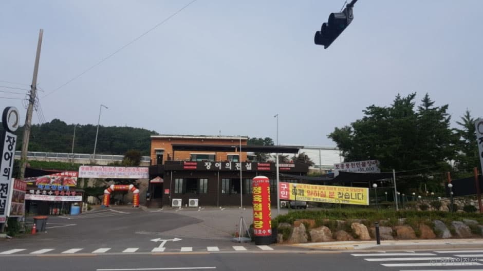 장어의전설