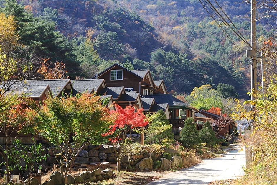 강원 정선 도원펜션