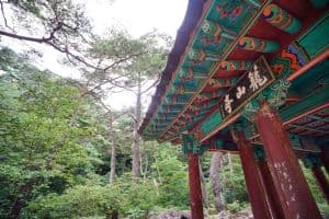 농산정
