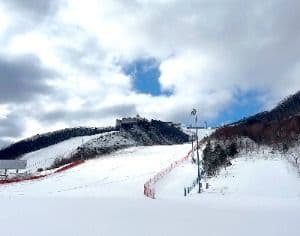 오투리조트 스키장