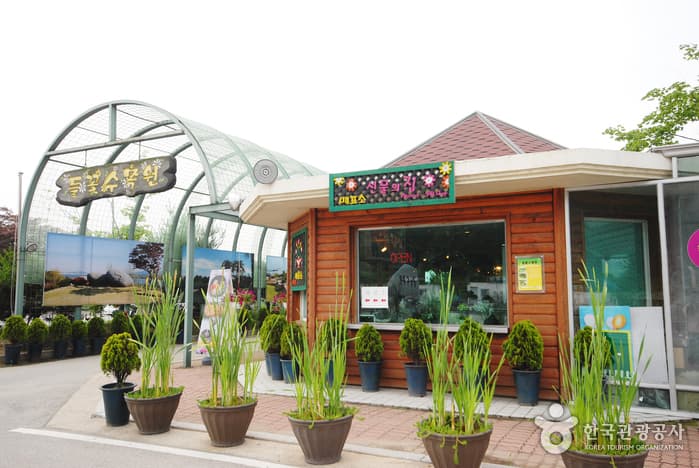 Yangpyeong Wild Flower Arboretum (양평 들꽃수목원)