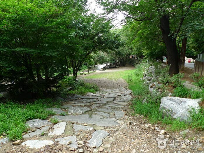 Soyosan Tourist Site (소요산국민관광지)