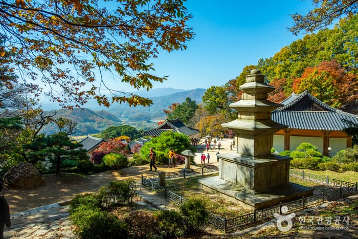 Buseoksa Temple [UNESCO World Heritage] (부석사[유네스코 세계문화유산])