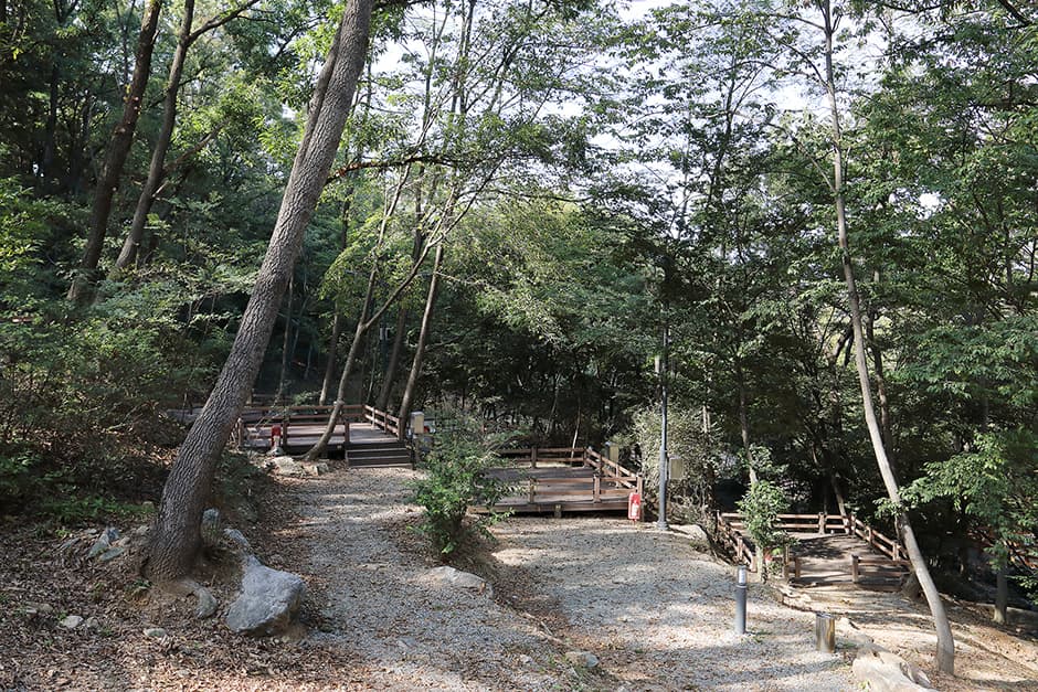 태학산자연휴양림 오토캠핑장