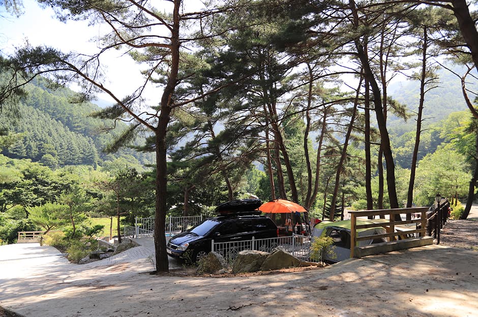 뜨란솔 캠핑장