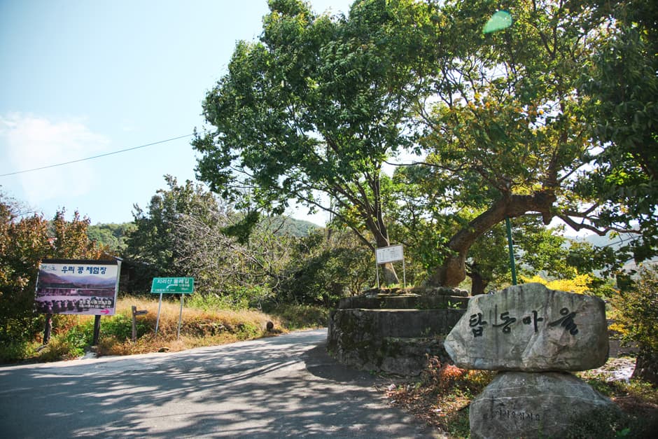 Photo 4