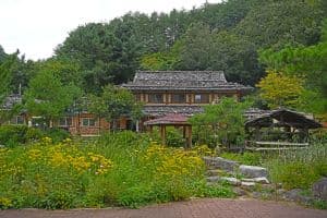 삼척 신리너와마을